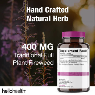 Willow Herb Fireweed