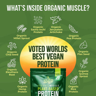 Organic Vegan Protein - Strawberry