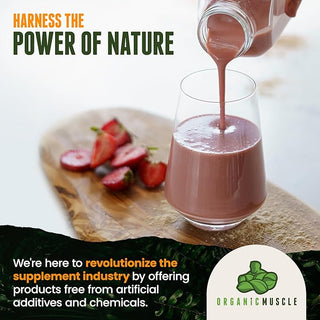 Pre-Workout - Lemon Berry