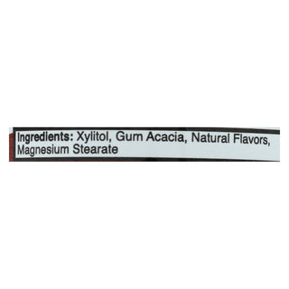Epic Dental Cinnamon Xylitol Mints, 180 Count Bottle