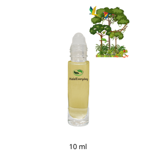 Rainforest Fantasy Fragrance Oil