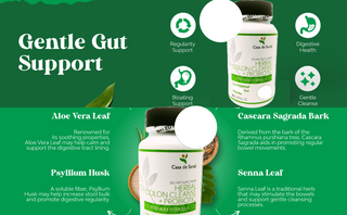 Herbal Motility & Detox Support Complex (MD PhD Formulated)