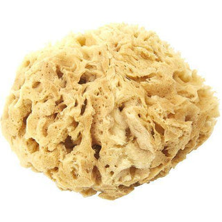 Spa Accessories By Sister Mediterranean Wool Sponge - Small