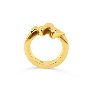 Monsieur Ring