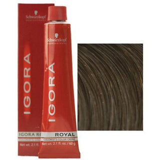 Schwarzkopf Igora Royal Colorist's Color Creme 6-1 Dark Ash Blonde