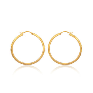 Studded Hoop Earrings