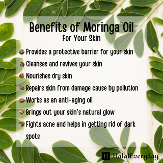 Moringa Oil 4oz Dropper
