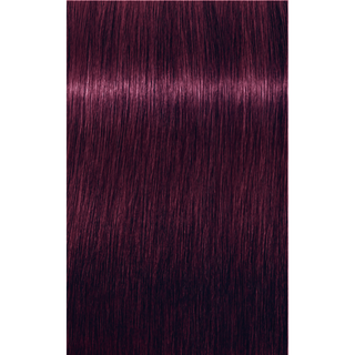 Schwarzkopf Igora Royal Permanent Hair Color - 6-99 Dark Blonde Violet Extra