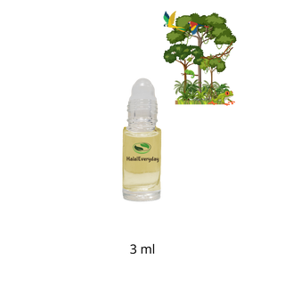 Rainforest Fantasy Fragrance Oil