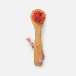 Gal Pal  Exfoliating Face Brush