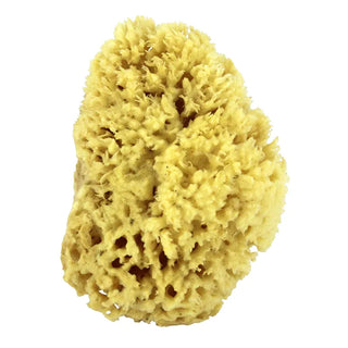 SWISSCO Sea Wool Natural Bath Sponge