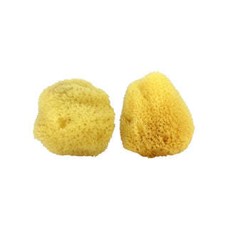 Swissco Natural Cosmetic Facial Sea Sponge (Pack of 2 Sponges)