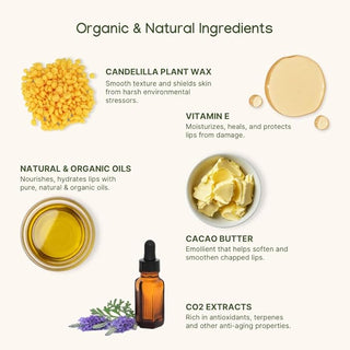 ILIKA 100% Natural Lip Balm - 2X Volume, Organic, Plastic-free, Vegan & Cruelty-Free, COSMOS Certified, PETA Certified, Plant-Based, 2 Pack, Ginger Lemon & Almond Cardamom Rose - 0.3 oz each