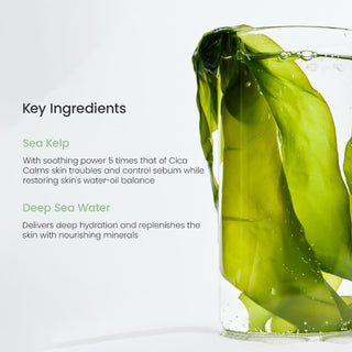 Biodance Refreshing Sea Kelp Real Deep Mask