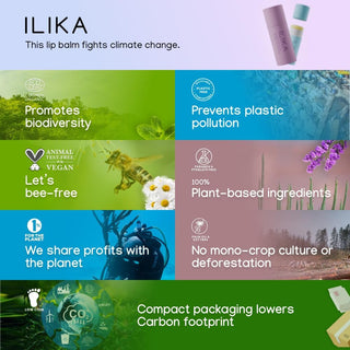 ILIKA 100% Natural Lip Balm - 2X Volume, Organic, Plastic-free, Vegan & Cruelty-Free, COSMOS Certified, PETA Certified, Plant-Based, 2 Pack, Ginger Lemon & Almond Cardamom Rose - 0.3 oz each