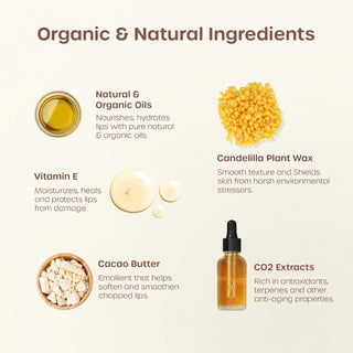 ILIKA 100% Natural Lip Balm - Organic, Plastic-free, Vegan, Cruelty-Free, Vitamin E, COSMOS Certified, PETA Certified, 2-Pack - Vanilla, Peppermint, All-Day Moisture, 0.15 oz each