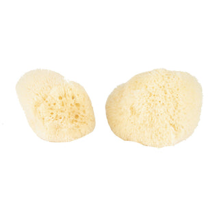 Baudelaire Silk Sponge Set