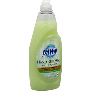 Dawn Dishwashing Liquid, Ultra Concentrated, With Aloe Vera Scent 19 Oz