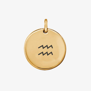 Zodiac Sign Charm