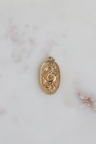 BRONZE SERPENT PENDANT