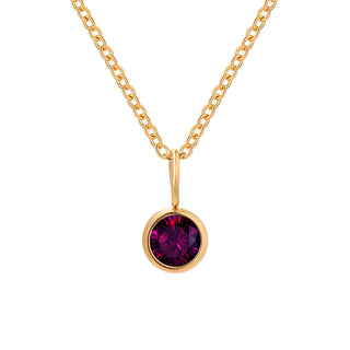 Lumière Birthstone Necklace Month & Zodiac Collection
