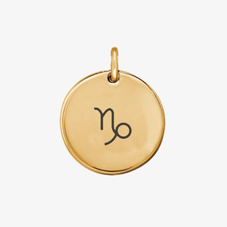 Zodiac Sign Charm