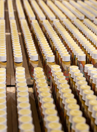 Tallow Lip Balm Multipack - Citrus, Vanilla, Mint, Pina Colada