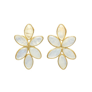 Splendid Shell Drop Earrings