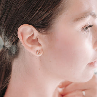 Horseshoe Studs