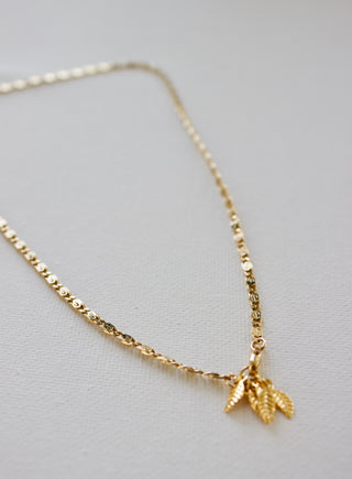 DX - CAROLINE CHAIN