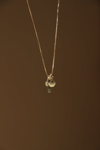 SHELL CHARM