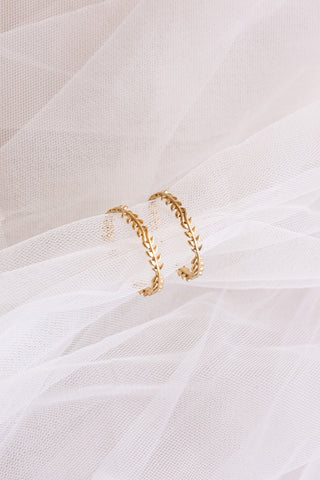 Ivy Hoop