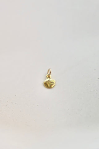 SHELL CHARM