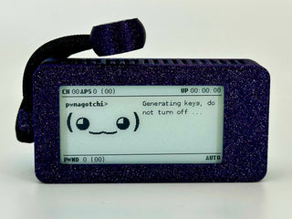 Pwnagotchi - Hacker Tool