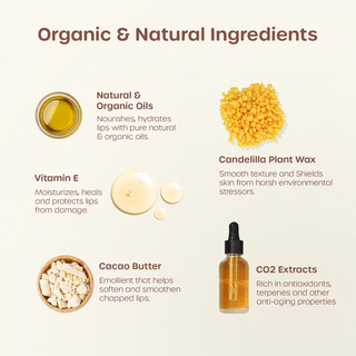 ILIKA 100% Natural Lip Balm - Organic, Plastic-free, Vegan, Cruelty-Free, Vitamin E, COSMOS Certified Organic, 4-Pack Classic Collection - Vanilla, Orange Tangerine, Peppermint, 0.15 oz each