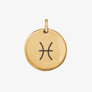 Zodiac Sign Charm