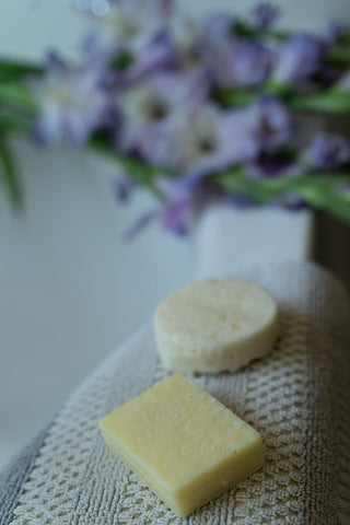 Shampoo and Conditioner Bar Set