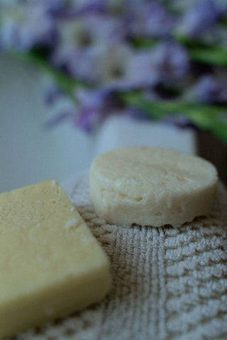 Shampoo and Conditioner Bar Set