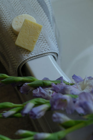 Shampoo and Conditioner Bar Set