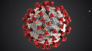 Bacterial Infections