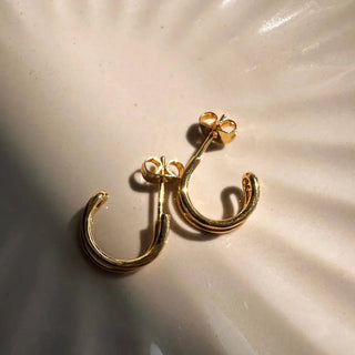 Double Hoop Earrings