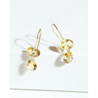 Two Link Citrine Earrings