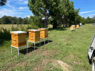 Mississippi Hot Honey