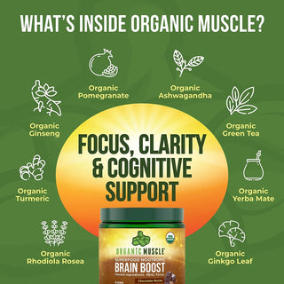 Brain Boost