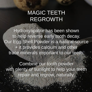 Shwally Magical Hydroxyapatite Cattle Bone & Egg Shell Tooth Powder